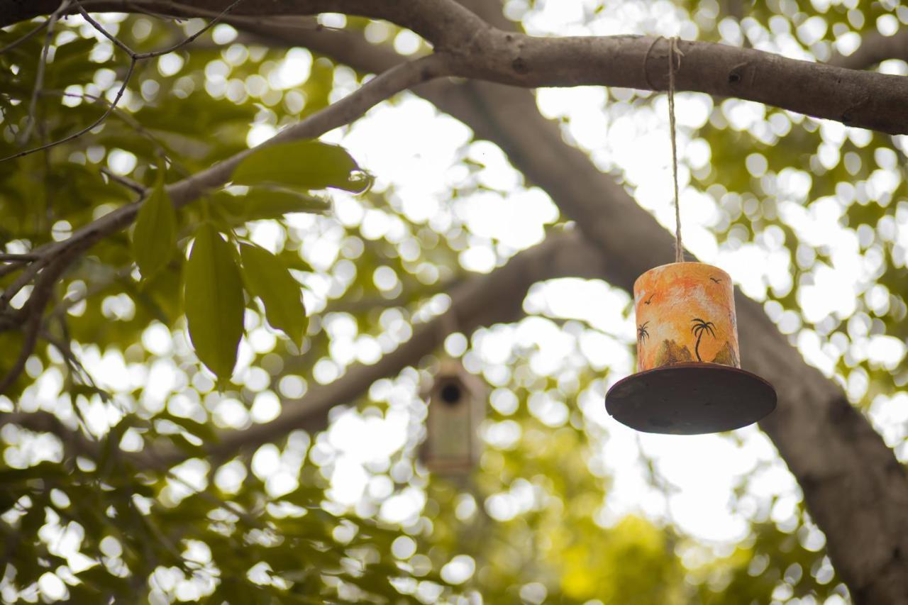 Nature Village Resort Pushkar Dış mekan fotoğraf